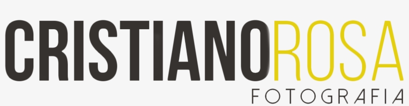 Cristiano Rosa - Stuttgart Homicide, transparent png #4300126