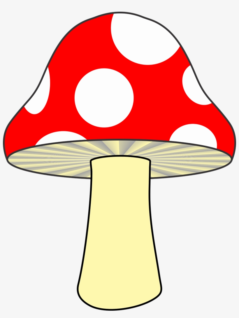 Forest, Mushroom Nature Red Mushroom Fungus Woods - Cogumelo Desenho, transparent png #4300232