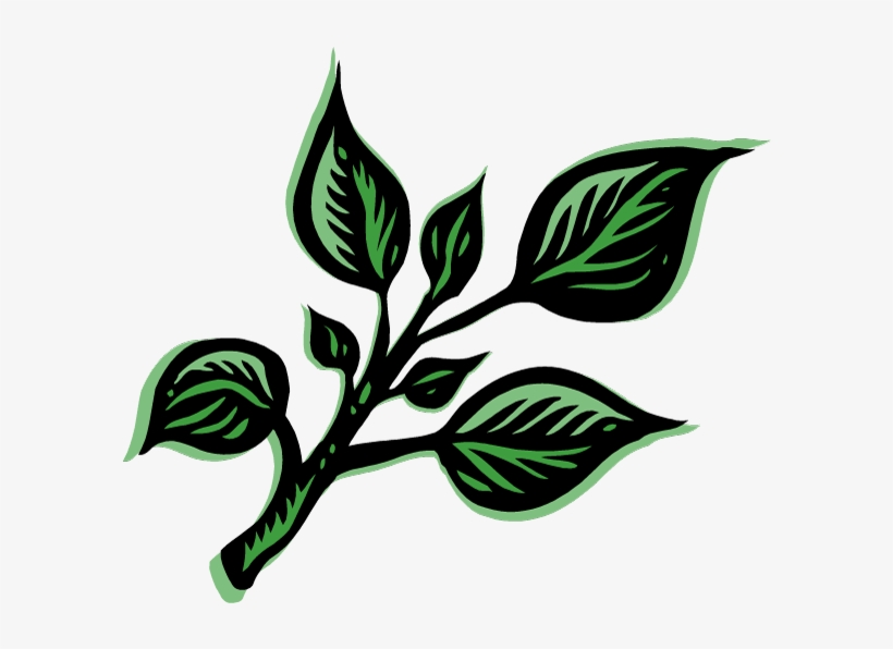 Hierbas Png - Herb Definition, transparent png #4300350