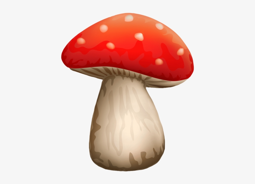 Free Png Poisonous Red Mushroom With White Dots Png - Red Mushroom Png, transparent png #4300383