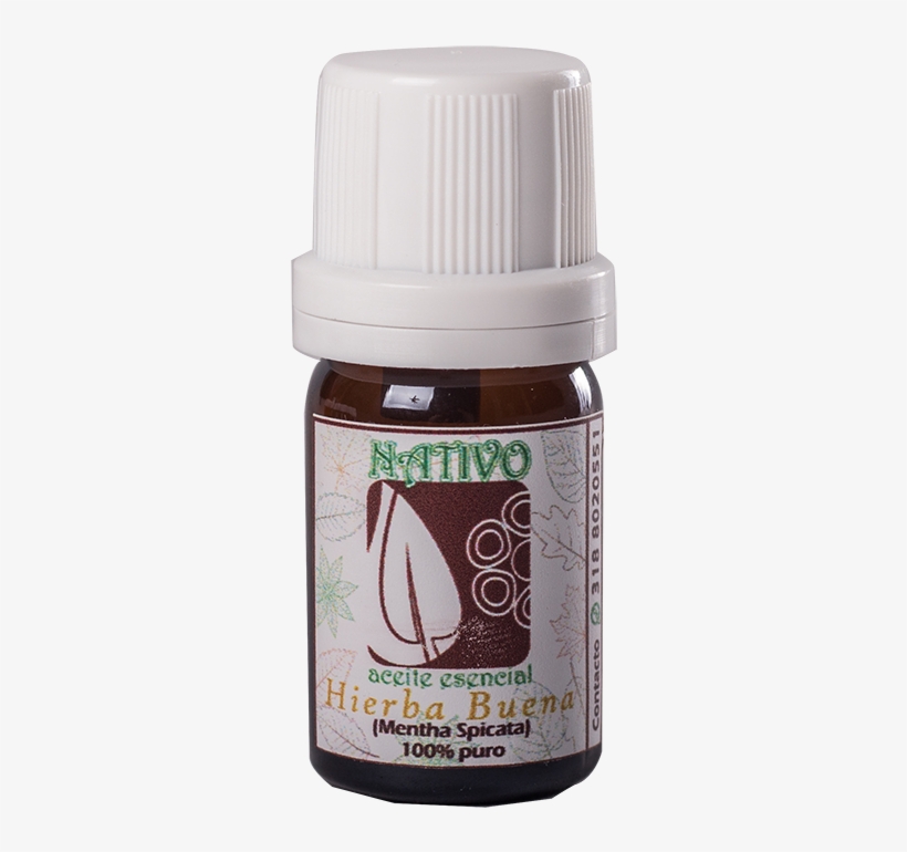 Hierba Buena - Essential Oil, transparent png #4300479