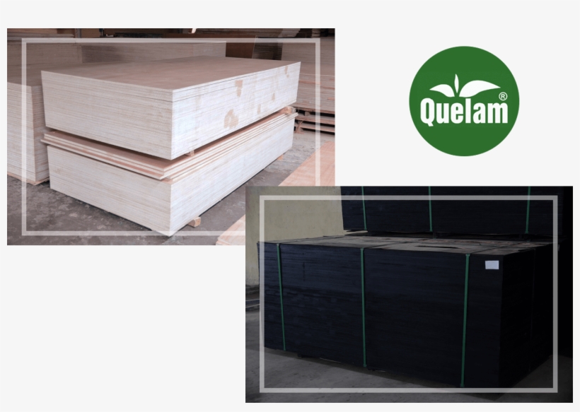 Plywood First Pic - Plywood, transparent png #4300704