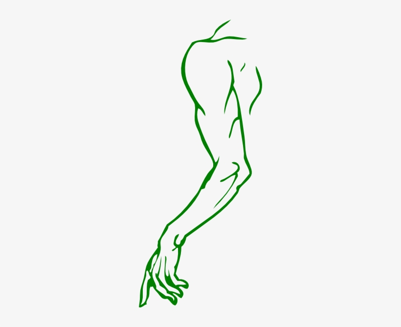 Arm - Arm Clip Art, transparent png #4300725