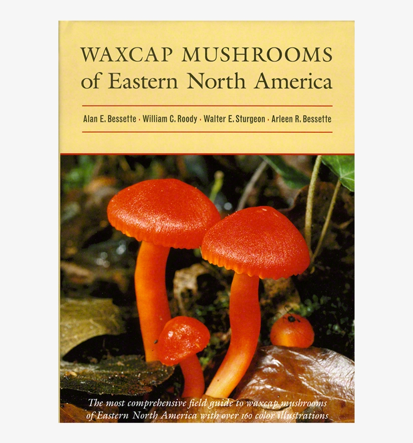Waxcap Mushrooms Of Eastern North America, transparent png #4300866