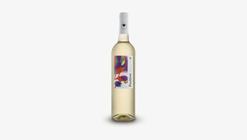 Other Suggestions Positivo - Bombardino, transparent png #4301029