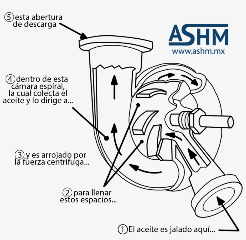 Bomba De Impelente De Desplazamiento No Positivo - Cartoon, transparent png #4301137