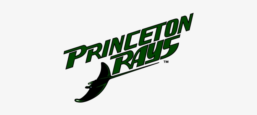 Premium Vectors - Princeton Rays, transparent png #4301168