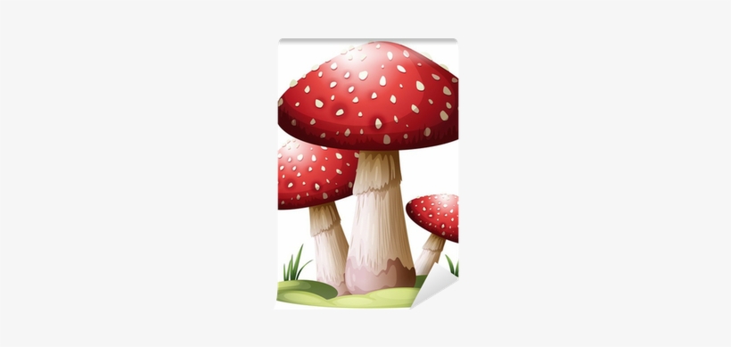 Mushroom Red, transparent png #4301188