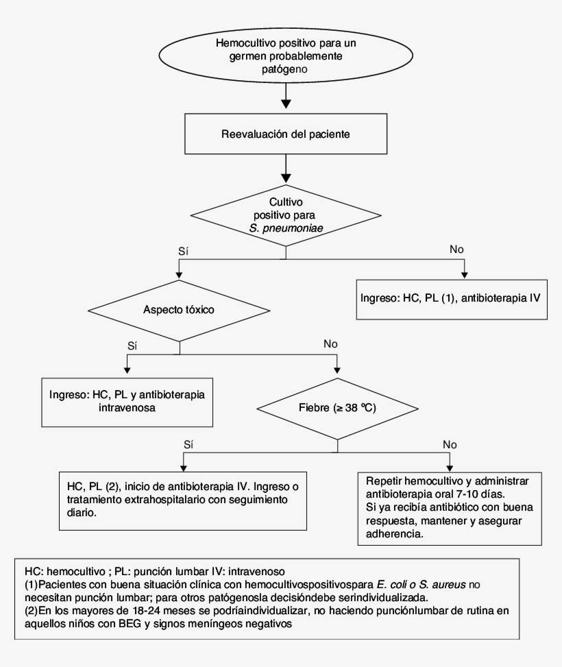 Actitud Ante Un Hemocultivo Positivo En El Paciente - Patient, transparent png #4301476
