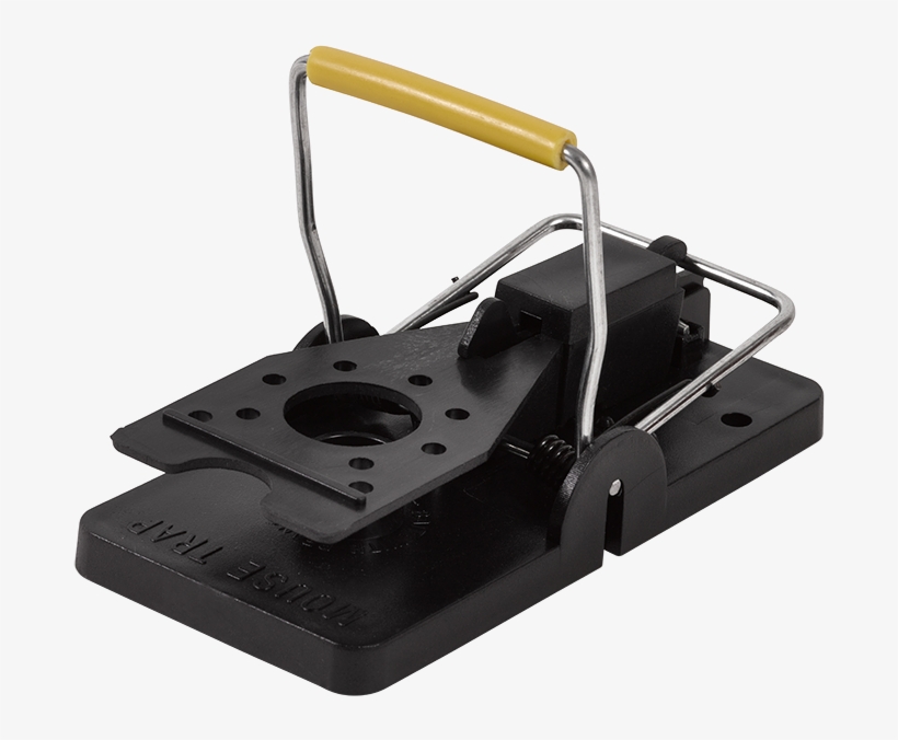 Wild Cats For Mice - Hole Punch, transparent png #4301729