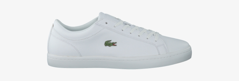 lacoste straightset bl1