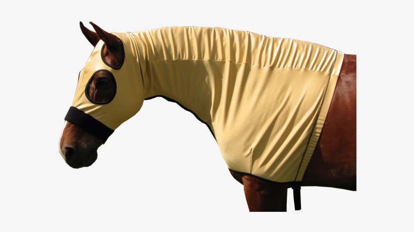 Slinky Hood - Stallion, transparent png #4302336