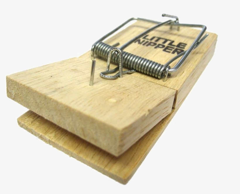 Mouse Trap Transparent Background Png - Per Topi Fai Da Te, transparent png #4302368