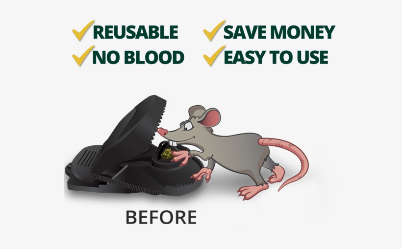 Minimice Mouse Trap - Rat, transparent png #4302480