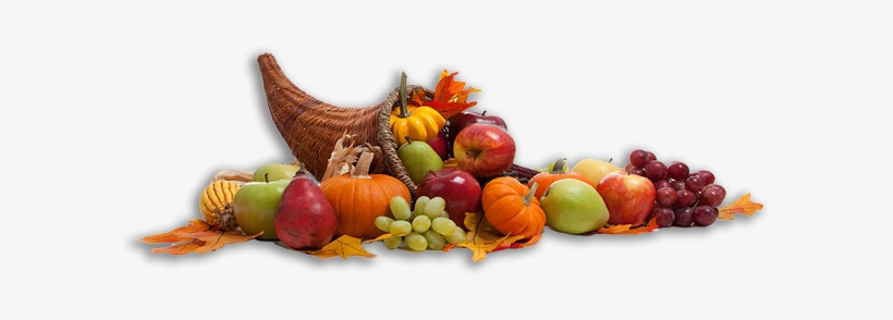 Cornucopia2 - Thanks Giving Horn, transparent png #4303181