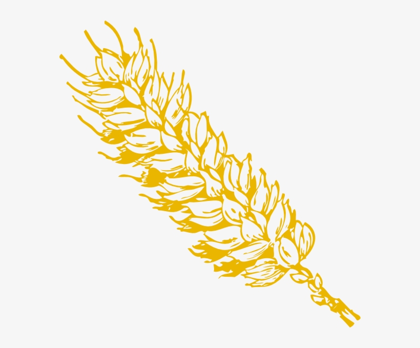 Wheat Clipart Padi, transparent png #4303345