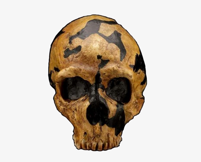 The Ten Neanderthals At The Site Were Found Within - Shanidar 1, transparent png #4303600