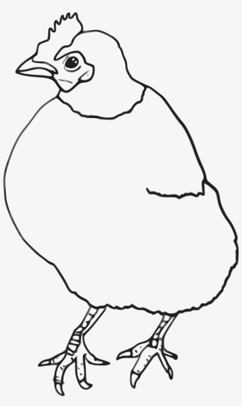Chicken Drawing Outline - Chicken, transparent png #4305196