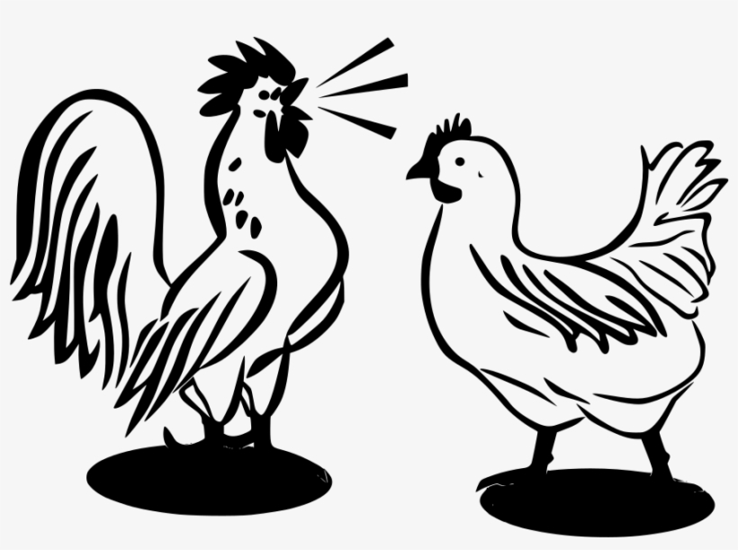 Download Png - Chicken And Rooster Clipart, transparent png #4305286