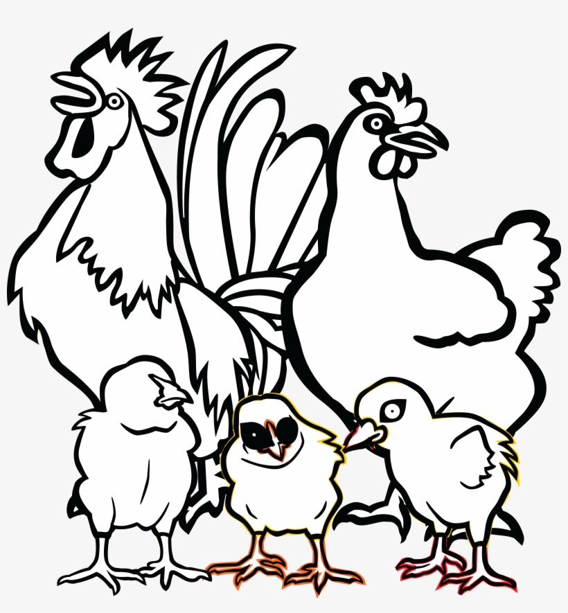 Free Clipart - Drawing Chicken Family Png, transparent png #4305343