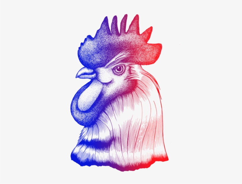 Roostersite, transparent png #4305408