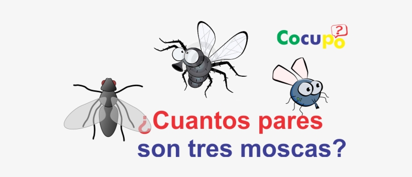 Cuantos Pares Son 3 Moscas - Budget Tote.drawing Fly. Tote Bag, transparent png #4305765