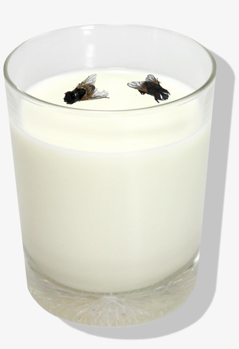 Copodeleite - House Flies, transparent png #4306004