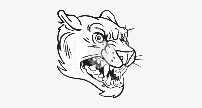 Panther Head Line Drawing - Free Transparent PNG Download - PNGkey