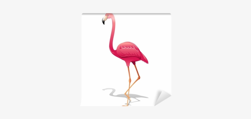Pink Flamingo Fenicottero Rosa Vector Wall Mural • - Flamingo Clipart, transparent png #4306317