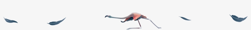Inshare - Crane-like Bird, transparent png #4306338