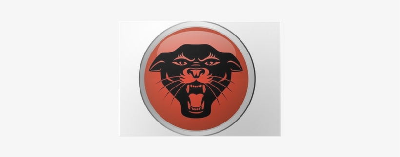 Black Panther, transparent png #4306852