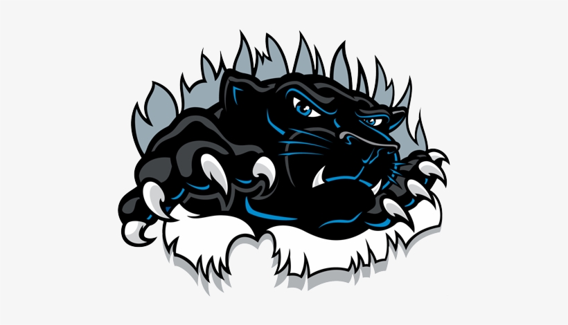 We Are Panthers Who - Gowanda Central School District, transparent png #4306859