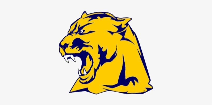 Whitmer's Abbigail Dorn Signed To Run Cross Country - Whitmer High School, transparent png #4306893