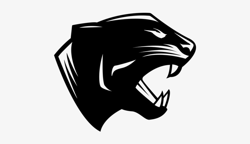 Pfhs - Potomac Falls High School, transparent png #4306962