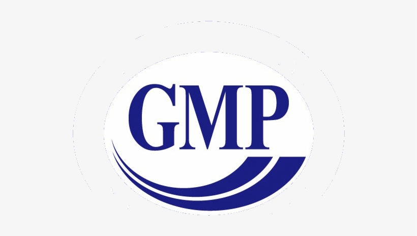 Gmp Logo Png : We Always Keep An Eye On Process Performance Through