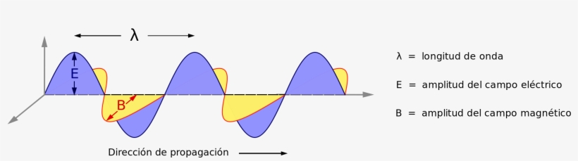 Open Ondas De Rayos X Free Transparent Png Download Pngkey