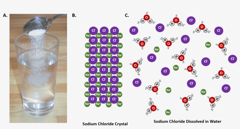 When An Ionic Salt, Such As Sodium Chloride, Shown - Salt Dissolving In Water, transparent png #4308676