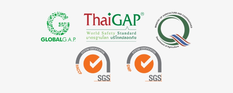 Moreover, Our Company Has Focused More On Studying - Iso 9001, transparent png #4309024