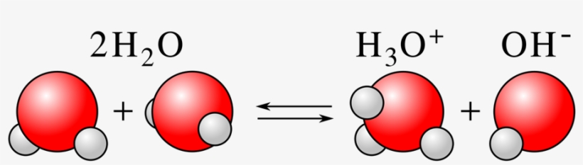 The Hydroxide Can React With The Hydronium Ion To Form - Acids And Bases Molecules, transparent png #4309213