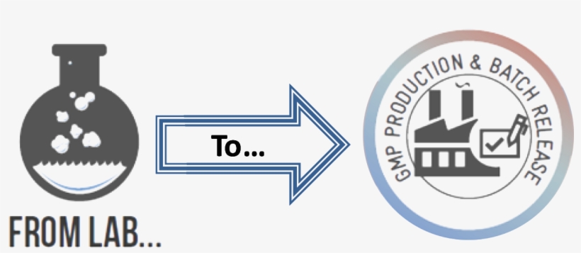 The Gmp Pilot Plant Will Provide Campaign Production - Circle, transparent png #4309523