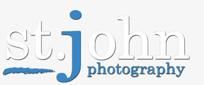 International Day Against Homophobia 2011, transparent png #4310450