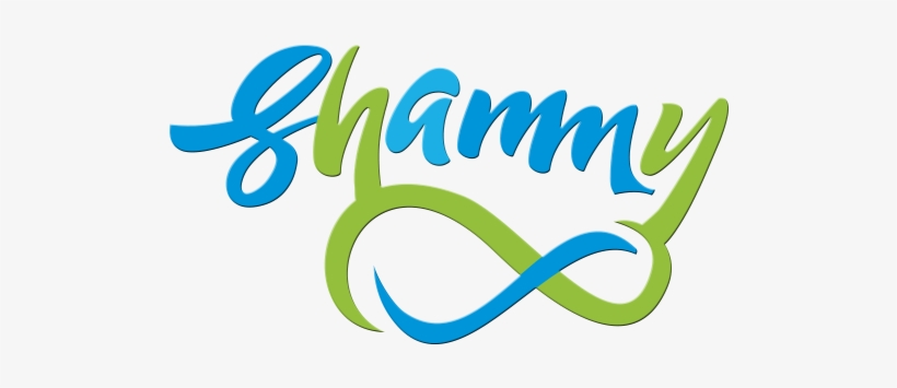 Shammy Car Wash - Car, transparent png #4311791