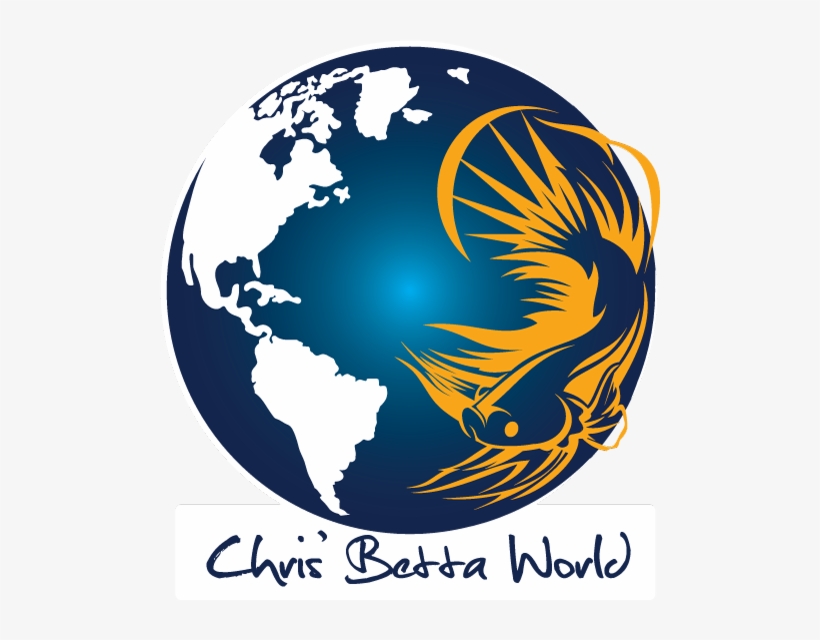 Chris' Betta World - Fonts, transparent png #4312563