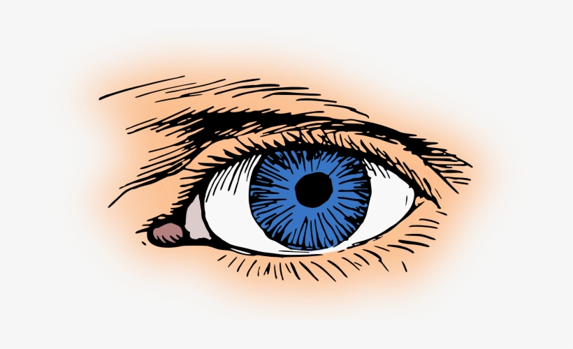 Blue Eyes Clipart Eyeball - Eye Clip Art, transparent png #4312578