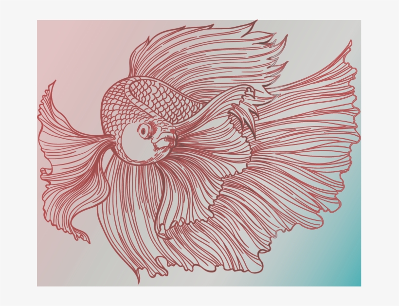 Betta Innovations - Drawing, transparent png #4312601