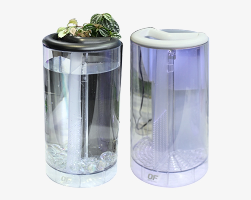 Betta Flora - Ocean Free Betta Flora Tank, transparent png #4312648
