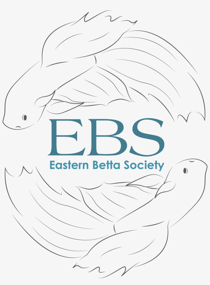 Eastern Betta Society -international Show - Society, transparent png #4312901
