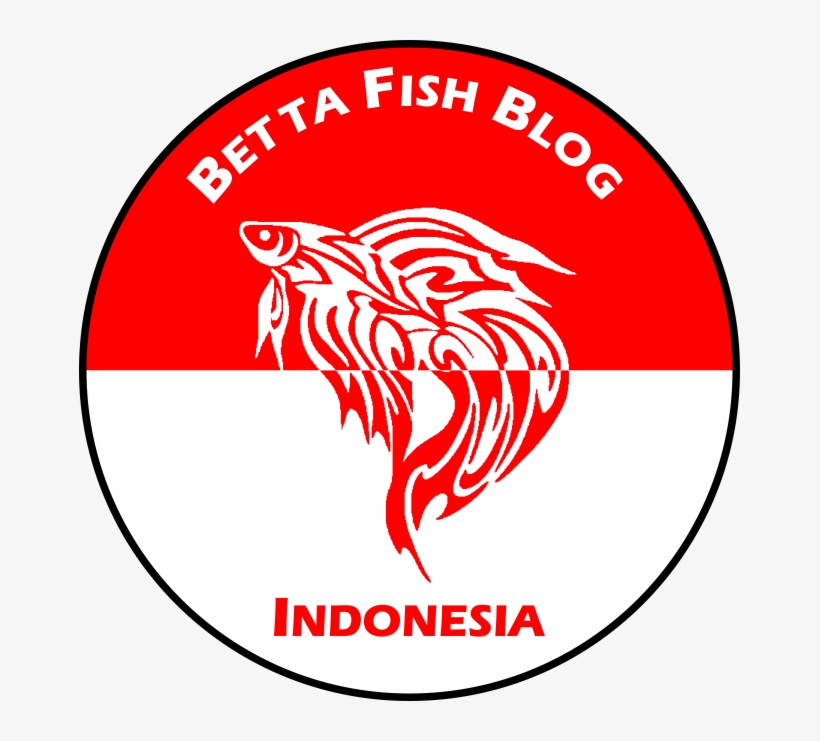 Betta Food Variety - Circle, transparent png #4312959