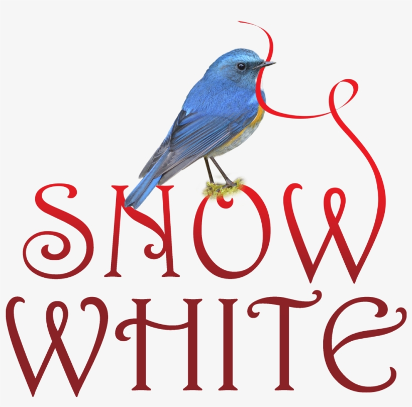 Sw Logo Copy - Psa Essentials Harrington Stamp Or Embosser, transparent png #4314244