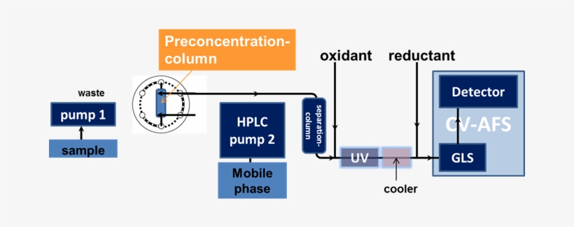 Mercury In All Its Molecular Forms Is Toxic - Diagram, transparent png #4314277